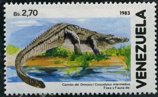 Venezuela - 1983 - Flora y Fauna - Caiman del Orinoco Crocodylus intermedius - 2.70Bs