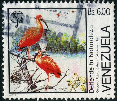 Venezuela - 1988 - Defiende tu Naturaleza - Corocoro Rojo Eudocimus ruber - 6Bs