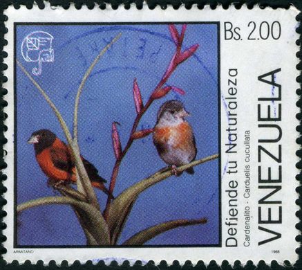 Venezuela - 1988 - Defiende tu Naturaleza - Cardenalito Carduelis cucullata - 2Bs