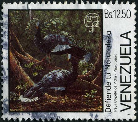Venezuela - 1988 - Defiende tu Naturaleza - Pauji Copete de Piedra Pauxi pauxi - 12.50Bs