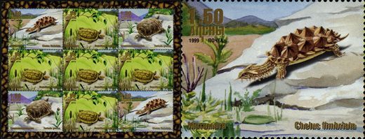 Abecasia - 1999 - Tartarugas Chelus Fimbriata - 1.50R