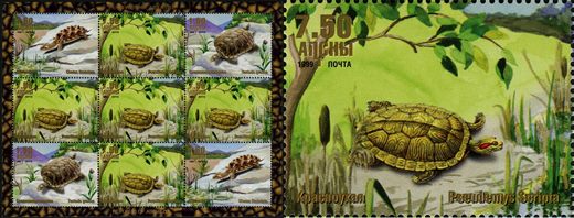 Abecasia - 1999 - Tartarugas Pseudemys Scripta - 7.50R