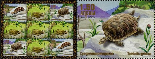 Abecasia - 1999 - Tartarugas Testudo Graeca - 1.50R
