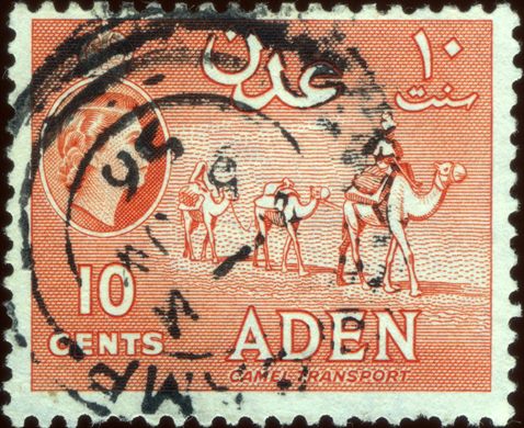 Aden - 1953 - QEII Camel Transport - 10C