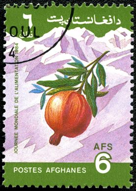 Afeganistao - 1984 - Dia Mundial Alimentacao - 6Af