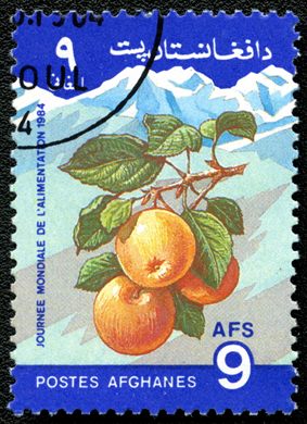 Afeganistao - 1984 - Dia Mundial Alimentacao - 9Af