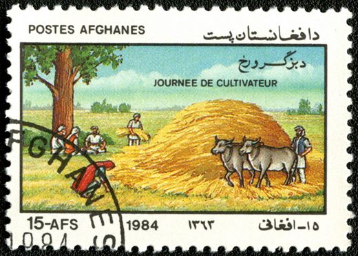 Afeganistao - 1984 - Dia do Cultivador - 15Af