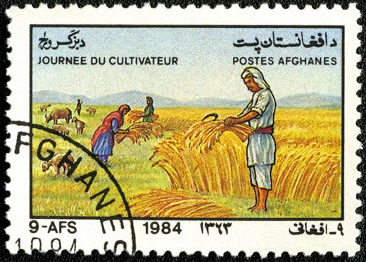 Afeganistao - 1984 - Dia do Agricultor - 9AFS
