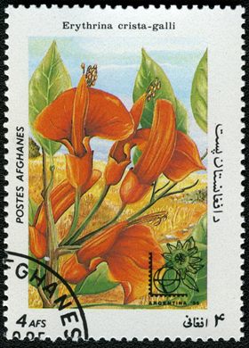 Afeganistao - 1985 - Flora Argentina 85 - 4Af
