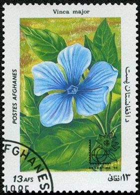 Afeganistao - 1985 - Flora Argentina 85 - 13Af
