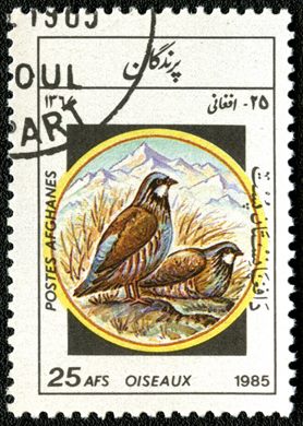 Afeganistao - 1985 - Aves - 25Af