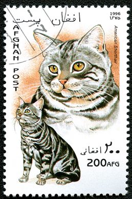 Afeganistao - 1996 - Gatos - 200Af