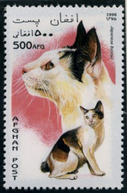 Afeganistao - 1996 - Gatos - 500Af