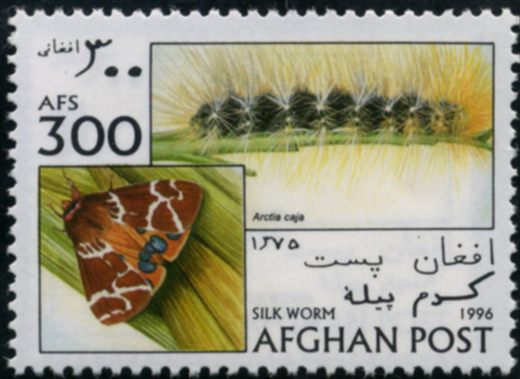Afeganistao - 1996 - Lepidopteros - 300Af