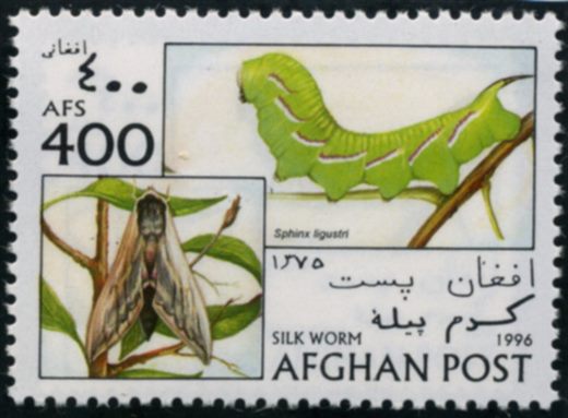 Afeganistao - 1996 - Lepidopteros - 400Af