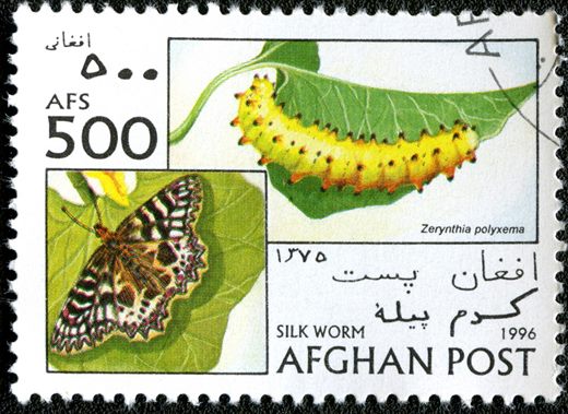 Afeganistao - 1996 - Lepidopteros - 500Af