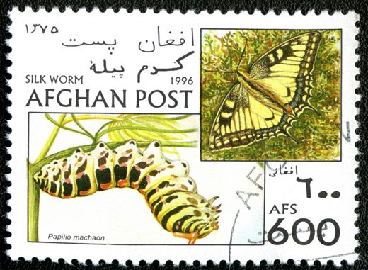 Afeganistao - 1996 - Lepidopteros - 600Af