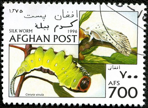 Afeganistao - 1996 - Lepidopteros - 700Af