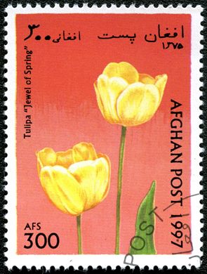 Afeganistao - 1997 - Tulipas - 300Af