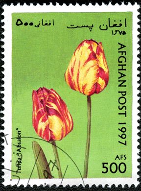 Afeganistao - 1997 - Tulipas - 500Af