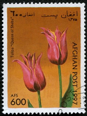 Afeganistao - 1997 - Tulipas - 600Af