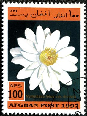Afeganistao - 1997 - Plantas Aquaticas - 100Af