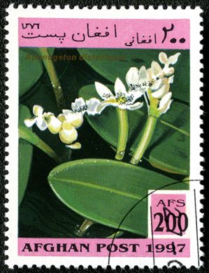 Afeganistao - 1997 - Plantas Aquaticas - 200Af