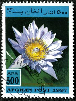 Afeganistao - 1997 - Plantas Aquaticas - 500Af