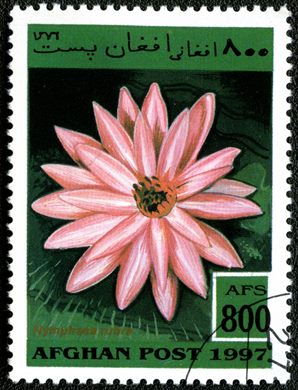 Afeganistao - 1997 - Plantas Aquaticas - 800Af