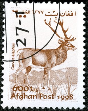 Afeganistao - 1998 - Fauna Veado - 600Af