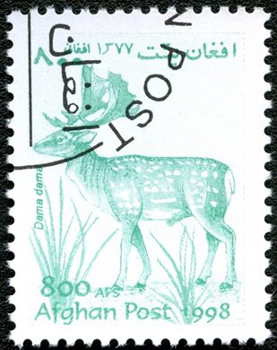 Afeganistao - 1998 - Fauna Gamo - 800Af