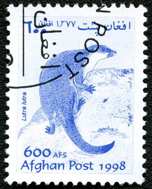Afeganistao - 1998 - Fauna Lontra - 600Af
