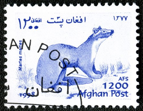 Afeganistao - 1998 - Fauna Marta - 1200Af