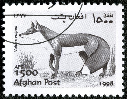 Afeganistao - 1998 - Fauna Raposa - 1500Af
