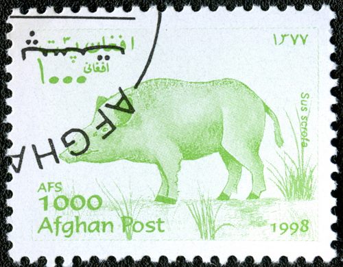 Afeganistao - 1998 - Fauna Javali - 1000Af