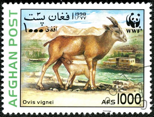 Afeganistao - 1998 - WWF Urial - 1000Af
