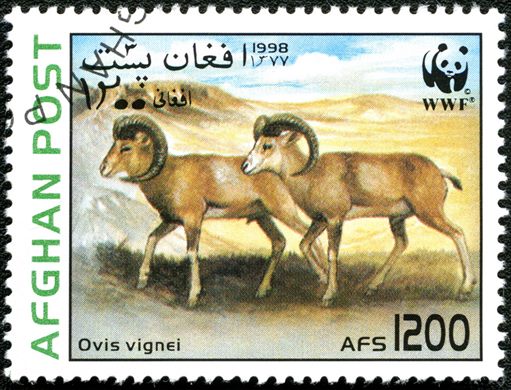Afeganistao - 1998 - WWF Urial - 1200Af