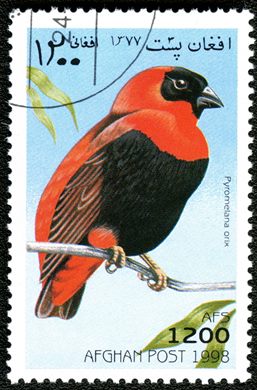 Afeganistao - 1998 - Aves - 1200Af