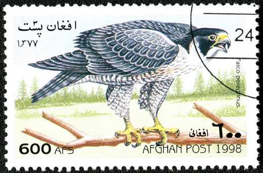 Afeganistao - 1998 - Aves - 600Af