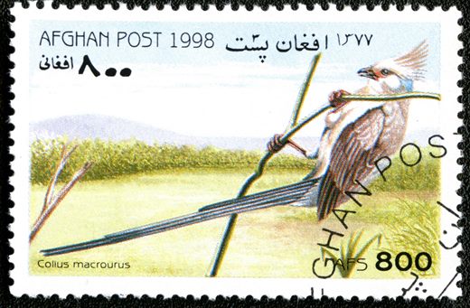 Afeganistao - 1998 - Aves - 800Af