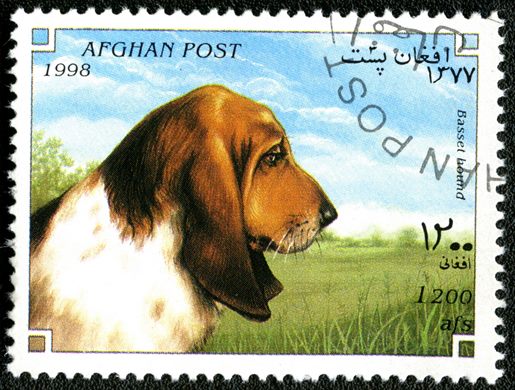 Afeganistao - 1998 - Caes - 1200Af