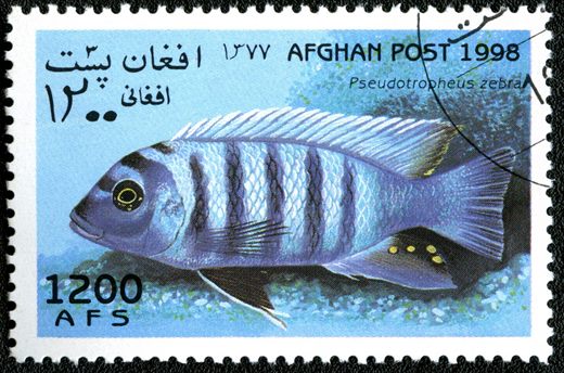 Afeganistao - 1998 - Peixes - 1200Af