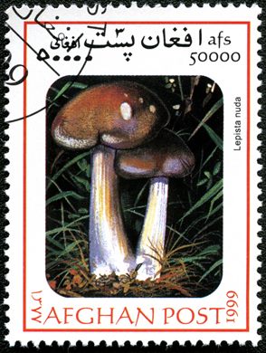 Afeganistao - 1999 - Cogumelos - 50000Af