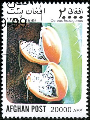 Afeganistao - 1999 - Cactos - 20000Af