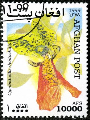 Afeganistao - 1999 - Orquideas - 10000Af
