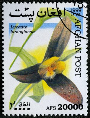 Afeganistao - 1999 - Orquideas - 20000Af