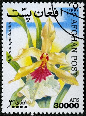 Afeganistao - 1999 - Orquideas - 30000Af