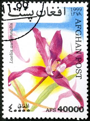 Afeganistao - 1999 - Orquideas - 40000Af