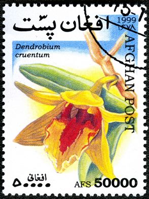 Afeganistao - 1999 - Orquideas - 50000Af