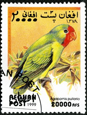 Afeganistao - 1999 - Papagaios - 20000Af